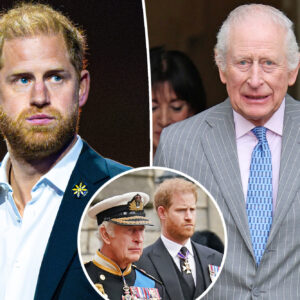 Royal Ships Passing: Harry Returns to UK as King Charles Flies to Italy