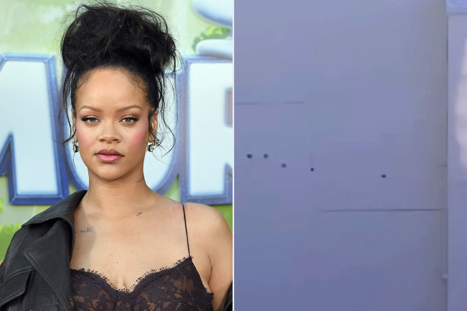 RIHANNA’S L.A. MANSION SHOT UP! Suspect In Custody After AR-15 Terror!