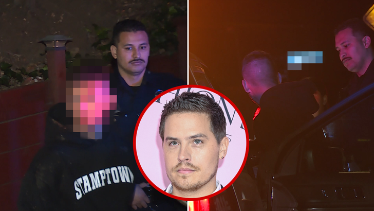 DYLAN SPROUSE'S NIGHT OF TERROR! He Tackled an INTRUDER—And We Have the INSIDE SCOOP!
